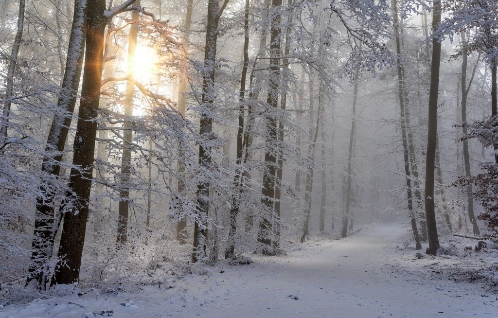 snow-4668099_1280